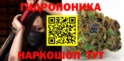 гидропоника Можга