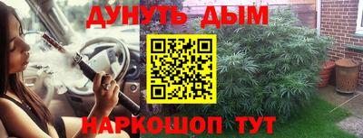 Альфа ПВП Моздок