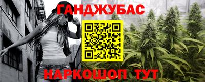 Альфа ПВП Моздок