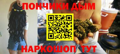 гидропоника Можга