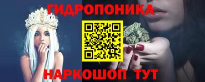 гидропоника Можга