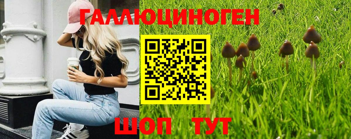 Галлюциногенные грибы мухоморы Великий Новгород