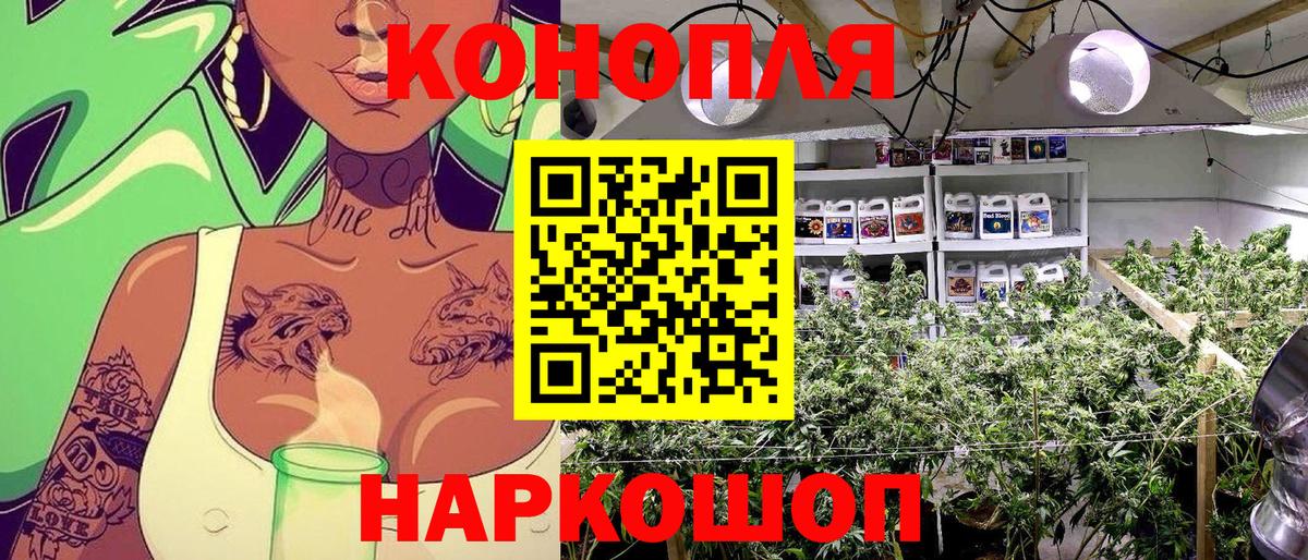 Марихуана конопля  Вход с VPN  Каннабис семена  Великий Новгород 